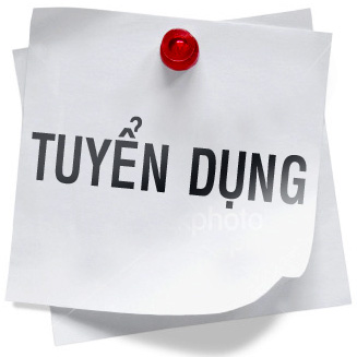Tuyển Nhân viên kỹ thuật SEO